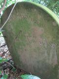 image of grave number 631874